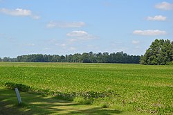 Fields north of Allentown Road