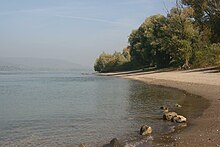 Photograph of a riverbank with riparian forest.