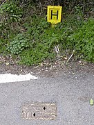 British fire hydrant and sign – the sign indicates the hydrant is 100 mm in diameter and 1 metre from the sign