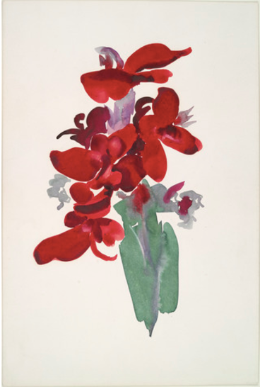 File:Georgia O'Keeffe Red Canna 1915 Yale University Art Gallery.tif