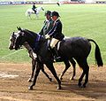 The first-place winner in the "Ridden Hack" class is escorted on a lap of honour by a steward
