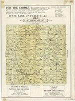 1914 plat map of the Town of Forestville