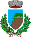 博尔戈马莱徽章