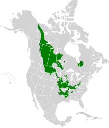 Map of North America with shading indicating species' distribution in parts of the central United States into parts of Canada