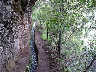 Levada do bom sucesso, Madeira