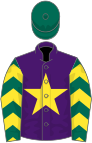 Purple, yellow star, dark green sleeves, yellow chevrons, dark green cap