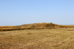 Archaeological mound, Safakulevsky District