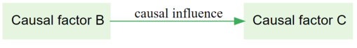 part of a causal map showing how Factor B causally influences Factor C