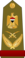 Iraqi field marshal