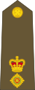 Lieutenant-colonel