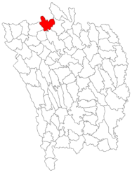 Location in Vaslui County