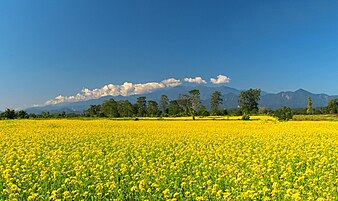 Bhalukpong, Arunachal Pradesh