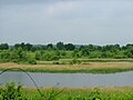 Stage's Pond State Nature Preserve in Ohio