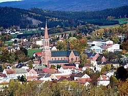 The town with the Church of Saint Nicholas