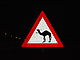 阿拉伯联合酋长国的骆驼横越标志