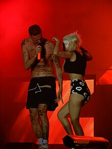 Die Antwoord