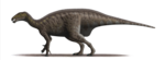 Mantellisaurus, the likely owner of the bones of Proplanicoxa