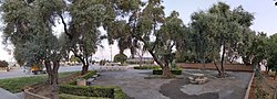 A panorama of Memorial Cross Park, a small city park in Santa Clara, California adjoining the San Jose International Airport. Key features within the park include benches, olive trees, a low adobe perimeter wall with a small niche and tiled shrine in one corner, and a granite pedestal bounded by an oleander hedge.