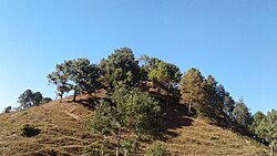 Okhaldhunga Bajaar Entrance Hill within Siddhicharan Municipality (2018)