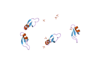 2nlp: Human beta-defensin-1 (Mutant Gln24Glu)