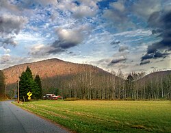 Along Little Pine Creek in the township