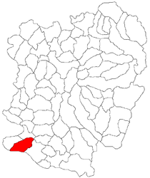 Location in Caraș-Severin County