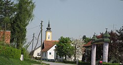 Vrtlinska