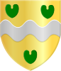 Coat of arms of Witmarsum