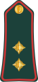 First lieutenant (Gambian National Army)
