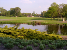 View of water in front of grass and several trees
