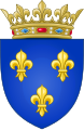 Coat of arms of The Kingdom of France