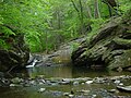 Cresheim Creek, Wissahickon, Philadelphia