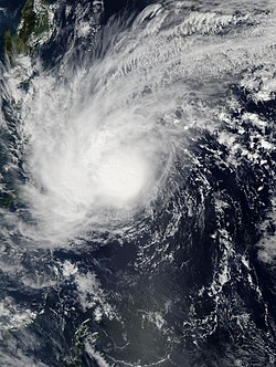 1月31日的热带风暴剑鱼