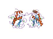 1xud: Matrix metalloproteinase-13 complexed with non-zinc binding inhibitor