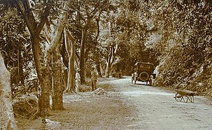 The Ponce–Adjuntas Road in Ponce in 1920, now a section of PR-123