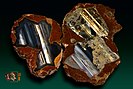 Two double thundereggs from Richardson Ranch (was known as Priday Ranch), Madras, Oregon