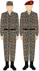 Egyptian Army Thunderbolt camouflage uniform