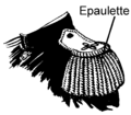 epaulette