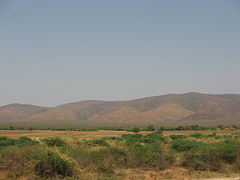 The Nallamallas from a distance during the dry season
