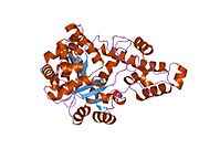 1o5t: Crystal structure of the aminoacylation catalytic fragment of human tryptophanyl-tRNA synthetase