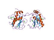 1xuc: Matrix metalloproteinase-13 complexed with non-zinc binding inhibitor