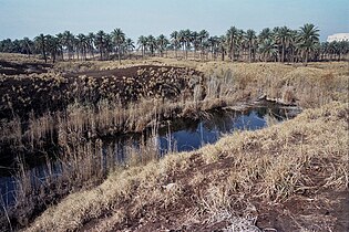 埃特曼安吉地基遺蹟，現已成為濕地