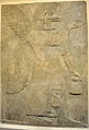 Wall relief depicting an eagle-headed and winged man, Apkallu, from Nimrud.