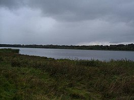 A lake surrounded by grass