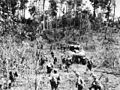 1944年5月，對比亞克的進攻