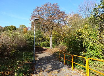 Park path