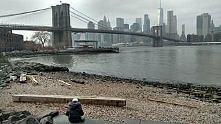 View towards Manhattan from the northern end of Brooklyn Bridge Park. Jane's Carousel is just below the bridge.