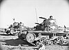 Captured Italian M13/40 and M11/39 tanks at Tobruk with Australian markings, January 1941.