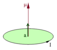 假設一個平面載流迴圈的面積向量為 '"`UNIQ--postMath-0000001F-QINU`"' 、所載電流為 '"`UNIQ--postMath-00000020-QINU`"' ，則其磁偶極矩為 '"`UNIQ--postMath-00000021-QINU`"' 。