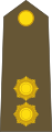 Lieutenant en premier (Luxembourg Army)[17]